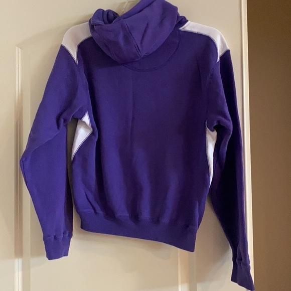 The Greenbrier kids hoodie size youth large - Picture 3 of 3